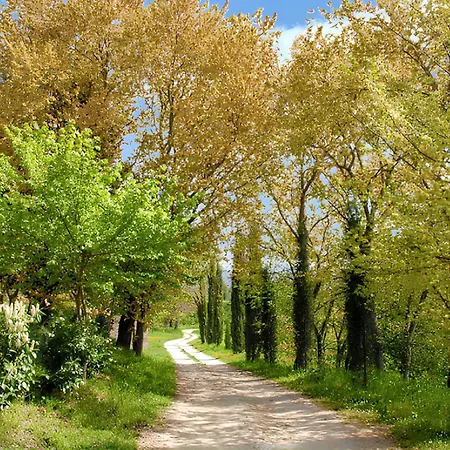 Apartment Spacious In With Mountain View Bevagna